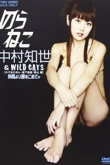 Stray Cat Chise Nakamura ＆WILD CATS