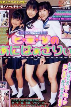 Diary of an Exciting Junior High School Girl Hi-mi-tu no Ani-baasarii.