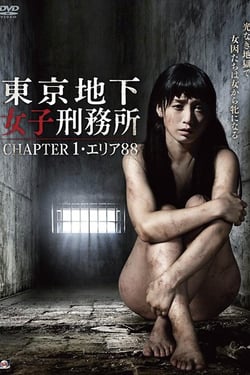 Tokyo Underground Women's Prison CHAPTER 1, Area 88.