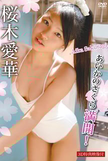 Aika's cherry blossoms in full bloom