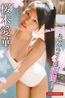Aika's cherry blossoms in full bloom