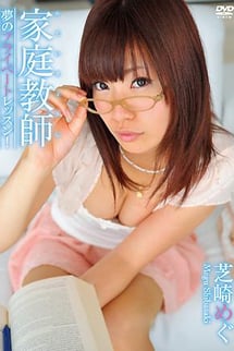 Private tutor: the private lesson of your dreams! Megu Shibasaki