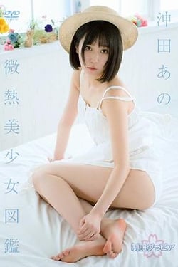 Slightly Hot Beautiful Girls Pictorial Book Okita Ano