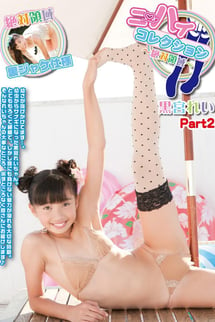 Knee-high collection - absolute area - Part 2