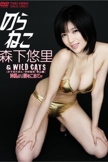 Stray Cat Yuuri Morishita ＆WILD CATS